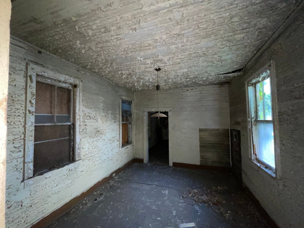 lead paint charleston,sc